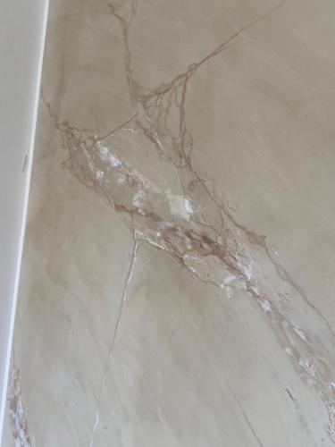 WhatsApp Image 2024-05-08 at 17.16.13_b7c05f4f